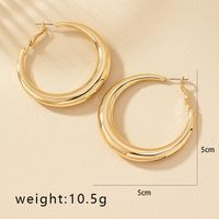 1 Pair Simple Style Commute Round Plating Alloy Gold Plated Hoop Earrings sku image 4