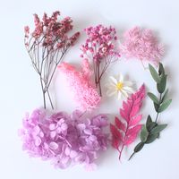 Romantique Fleur De Fleurs Séchées Mariage L'obtention Du Diplôme Date D'anniversaire Bouquet sku image 9