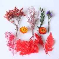 Romantic Flower Dried Flower Wedding Graduation Birthday Bouquet sku image 10