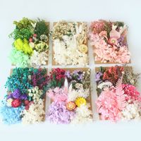 Pastoral Colorful Dried Flower Wedding Graduation Birthday Bouquet main image 6