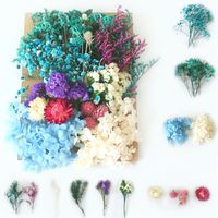 Pastoral Colorful Dried Flower Wedding Graduation Birthday Bouquet main image 4