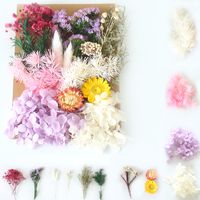 Pastoral Colorful Dried Flower Wedding Graduation Birthday Bouquet main image 5