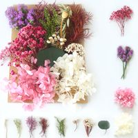 Pastoral Colorful Dried Flower Wedding Graduation Birthday Bouquet sku image 4