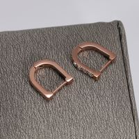 1 Pair Simple Style Shiny Geometric Polishing Plating Inlay Stainless Steel Zircon 14K Gold Plated Rose Gold Plated Hoop Earrings main image 4