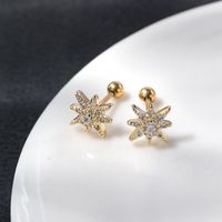 1 Pair Lady Shiny Flower Polishing Plating Inlay Stainless Steel Copper Zircon 18K Gold Plated Ear Studs sku image 1