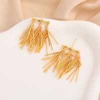 1 Pair Luxurious Modern Style Geometric Copper Drop Earrings main image 1