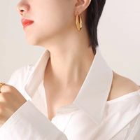 1 Pair Basic Classic Style Geometric Plating Stainless Steel Earrings main image 5