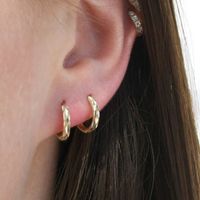 1 Paar Einfacher Stil Geometrisch Überzug Kupfer Ohrringe main image 1