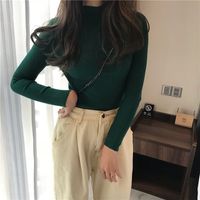 Women's Long Sleeve Sweaters & Cardigans Casual Basic Simple Style Solid Color sku image 6