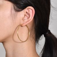 1 Pair Simple Style Geometric 304 Stainless Steel Gold Plated Hoop Earrings main image 6