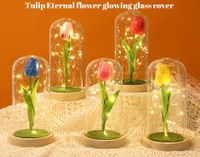 Sweet Pastoral Tulip Plastic Glass Indoor main image 6
