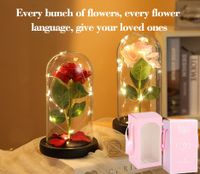 Christmas Valentine's Day Sweet Pastoral Rose Plastic Indoor Home main image 1