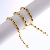 Einfacher Stil Einfarbig Titan Stahl Überzug Unisex Halskette main image 4