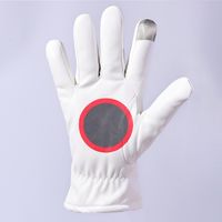 Hommes Des Sports Bloc De Couleur Gants Une Paire main image 2