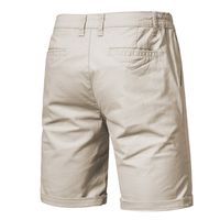Hombres Color Sólido Estilo Simple Ajuste Regular Pantalones Cortos main image 5