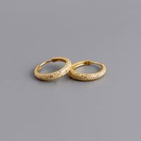 1 Pair Simple Style Geometric Plating Sterling Silver 18k Gold Plated White Gold Plated Hoop Earrings main image 4