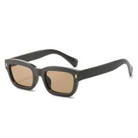 Basic Solid Color Leopard Pc Square Full Frame Women's Sunglasses sku image 3