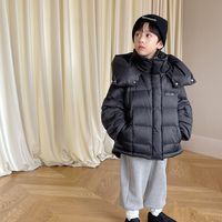 Classic Style Solid Color Cotton Boys Outerwear sku image 11