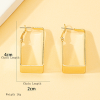 Simple Style Geometric Alloy Plating Earrings main image 6
