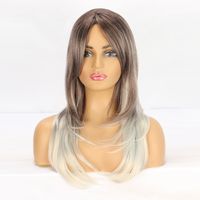 Women's Simple Style Party Street High Temperature Wire Long Bangs Long Straight Hair Wig Net sku image 1