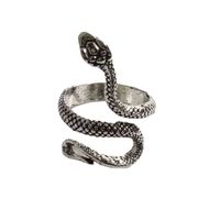 Classic Style Commute Snake Alloy Plating Gold Plated Men's Rings main image 5
