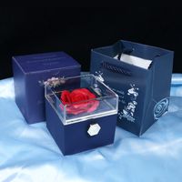 Romantic Solid Color Plastic Valentine'S Day Jewelry Boxes sku image 2