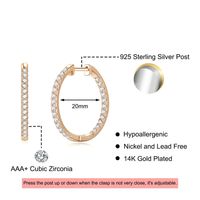 1 Pair Vintage Style Simple Style Solid Color Plating Inlay Copper Zircon 14k Gold Plated Hoop Earrings main image 2