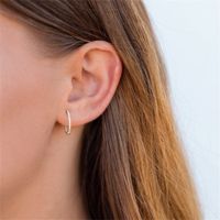 1 Pair Vintage Style Simple Style Classic Style Round Plating Inlay Copper Zircon 14k Gold Plated Hoop Earrings main image 6