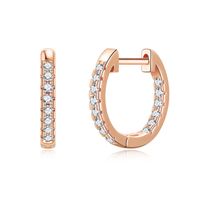 1 Pair Vintage Style Simple Style Solid Color Plating Inlay Copper Zircon 14k Gold Plated Hoop Earrings sku image 1