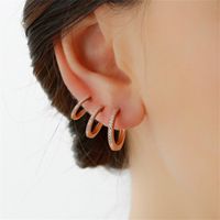 1 Pair Vintage Style Simple Style Classic Style Round Plating Inlay Copper Zircon 14k Gold Plated Hoop Earrings main image 4