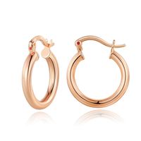 1 Pair Simple Style Classic Style Solid Color Plating Hollow Out Copper 14k Gold Plated Hoop Earrings sku image 2