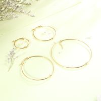 1 Pair Vintage Style Geometric Solid Color Plating Titanium Steel 18K Gold Plated Hoop Earrings main image 1