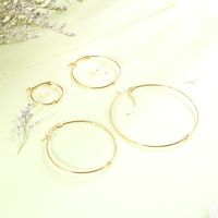 1 Pair Vintage Style Geometric Solid Color Plating Titanium Steel 18K Gold Plated Hoop Earrings main image 6