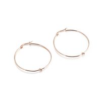 1 Pair Vintage Style Geometric Solid Color Plating Titanium Steel 18K Gold Plated Hoop Earrings main image 5