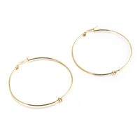 1 Pair Vintage Style Geometric Solid Color Plating Titanium Steel 18K Gold Plated Hoop Earrings sku image 11