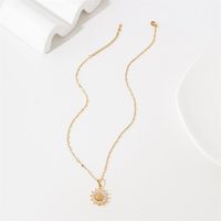 Stainless Steel Titanium Steel 18K Gold Plated Simple Style Plating Inlay Flower Zircon Pendant Necklace main image 4