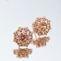 Shiny Flower Brass 18k Gold Plated Rose Gold Plated Zircon Charms Earrings In Bulk main image 7