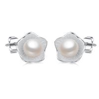 1 Pair Basic Geometric Plating Inlay Copper Pearl White Gold Plated Ear Studs main image 3