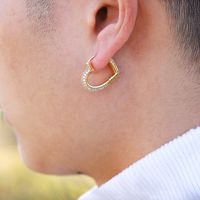 1 Pair Elegant Sweet Heart Shape Inlay Copper Zircon Earrings main image 7