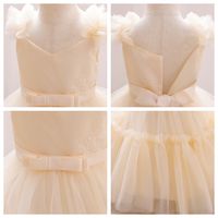 Elegant Princess Solid Color Polyester Girls Dresses main image 5
