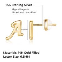 1 Pair Simple Style Letter Plating Copper 14k Gold Plated Rose Gold Plated Ear Studs main image 2