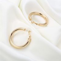 1 Pair Vintage Style Simple Style Classic Style Round Plating Hollow Out Copper 14k Gold Plated Hoop Earrings main image 6