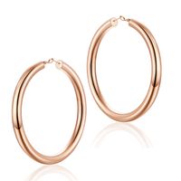 1 Pair Vintage Style Simple Style Classic Style Round Plating Hollow Out Copper 14k Gold Plated Hoop Earrings sku image 9