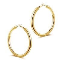 1 Pair Vintage Style Simple Style Classic Style Round Plating Hollow Out Copper 14k Gold Plated Hoop Earrings sku image 6