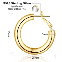 1 Pair Vintage Style Simple Style Classic Style Round Plating Hollow Out Copper 14k Gold Plated Hoop Earrings main image 2