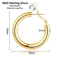 1 Pair Vintage Style Simple Style Classic Style Round Plating Hollow Out Copper 14k Gold Plated Hoop Earrings main image 3