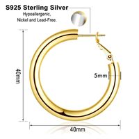 1 Pair Vintage Style Simple Style Classic Style Round Plating Hollow Out Copper 14k Gold Plated Hoop Earrings main image 4
