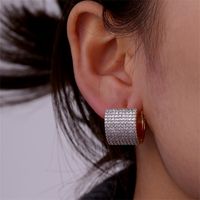 1 Pair Elegant Color Block Plating Inlay Copper Zircon K Gold Plated Earrings main image 7