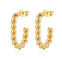 1 Paire Style Simple Style Classique Couleur Unie Placage Acier Au Titane Plaqué Or 18k Boucles D'oreilles main image 1