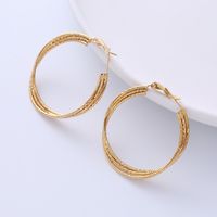 1 Pair Simple Style Solid Color Plating 304 Stainless Steel 18K Gold Plated Earrings main image 6